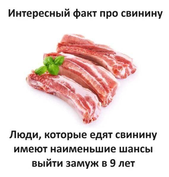 Интересный факт про свинину Люди, которые едят свинину имеют наименьшие шансы выйти замуж в 9 лет