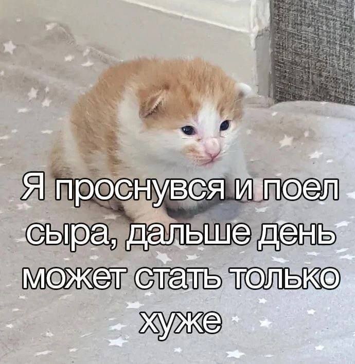 a я проснувся a сыра, дальше день. может стать TOMBKOg