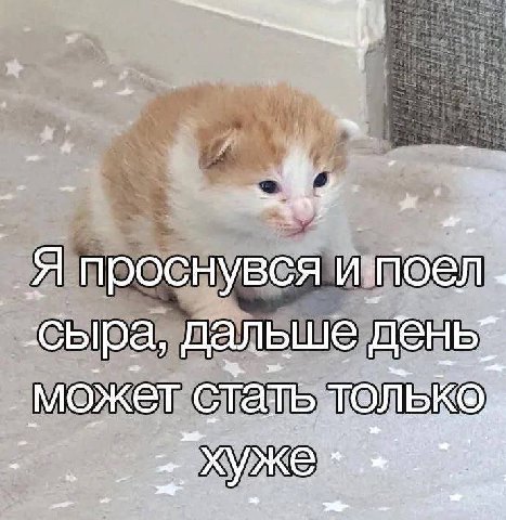a я проснувся a сыра, дальше день. может стать TOMBKOg