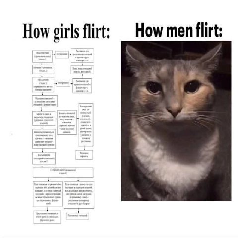 How men flirt: