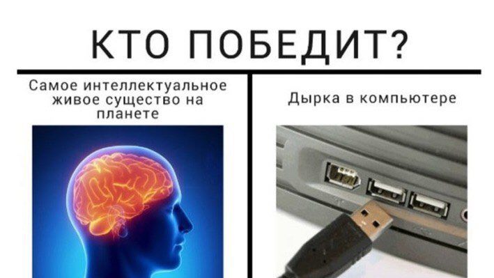 КТО ПОБЕДИТ? Самое интеллектуальное живое существо на Дырка в компьютере планете