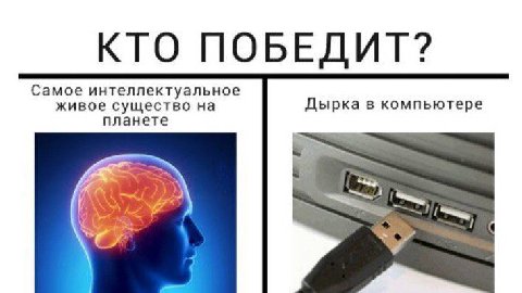 КТО ПОБЕДИТ? Самое интеллектуальное живое существо на Дырка в компьютере планете