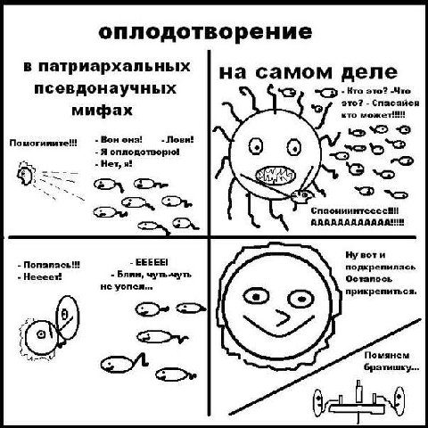 оплодотворение в патриархальных на самом деле псевдонаучных -С>- Кто это? -Что это? Спасайся мифах кто Вон она! Лови! Я оплодотворю! Нет, я! Спасиииитееее!! Нувоти Блин, чуть-чуть EEEEE! подкрепилась 