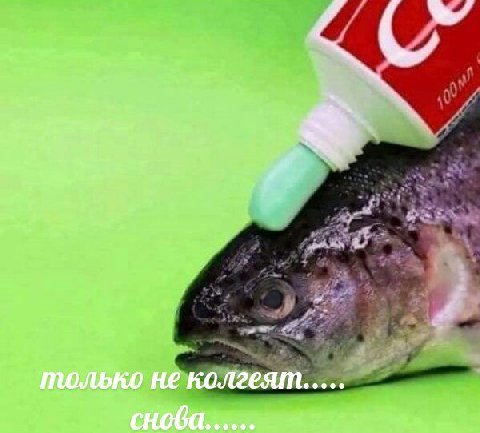 только He колгеят