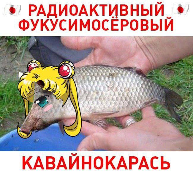 РАДИОАКТИВНЫЙ ФУКУСИМОСЕРОВЫИ КАВАИНОКАРАСЬ