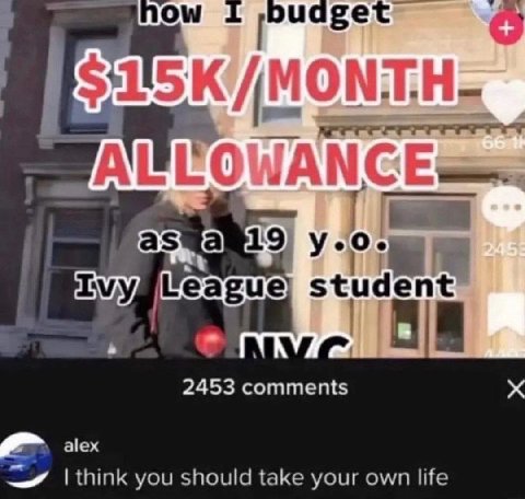 WANG stu 2453 comments