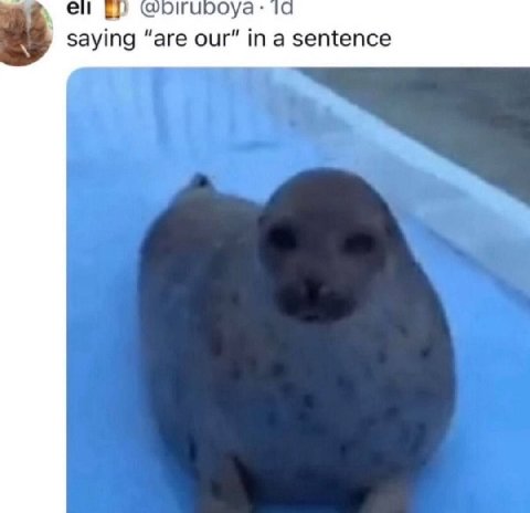 saying “are our” ina sentence