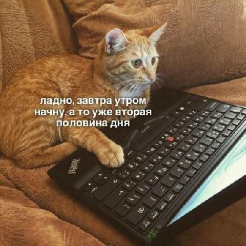 ладно, завтра утром начну, а то уже вторая половина дня