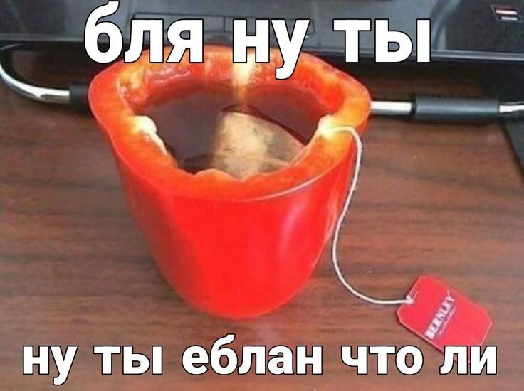 бля ну ты ну ты еблан что’ли