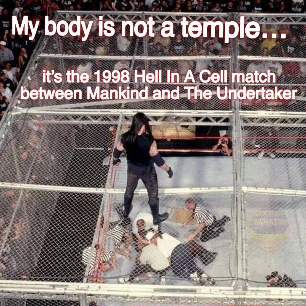My body is not a temple... it’s the 1998 Hell match between Mankind and The Undertaker