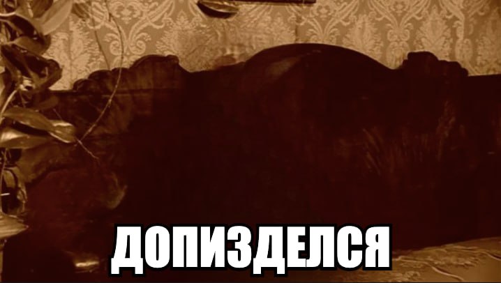 ДОПИЗДЕЛСЯ
