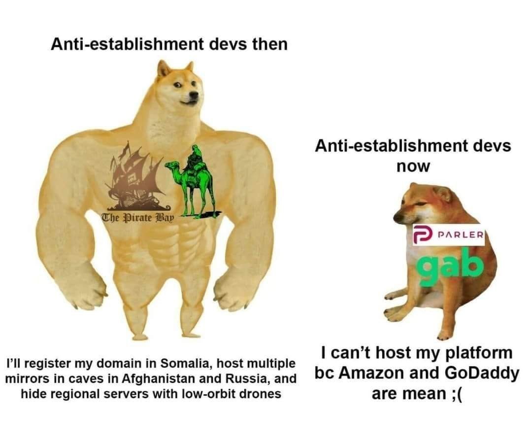 Anti-establishment devs then Anti-establishment devs now PARLER can’t host my platform register my domain in Somalia, host multiple Amazon and GoDaddy mirrors in caves in Afghanistan and Russia, and h