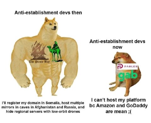 Anti-establishment devs then Anti-establishment devs now PARLER can’t host my platform register my domain in Somalia, host multiple Amazon and GoDaddy mirrors in caves in Afghanistan and Russia, and h
