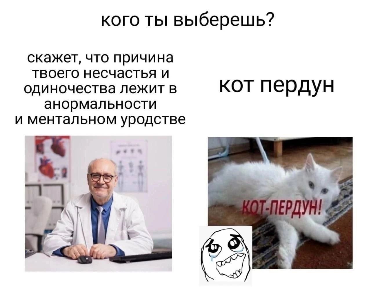 кого ты выберешь? скажет, что причина твоего несчастья и одиночества лежит в кот пердун анормальности и ментальном уродстве