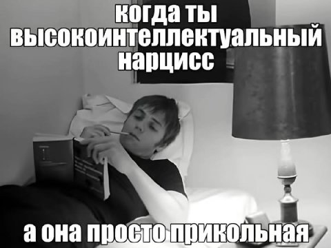 высокоинтеллентуальный нарцисс a OHA простоприкольная