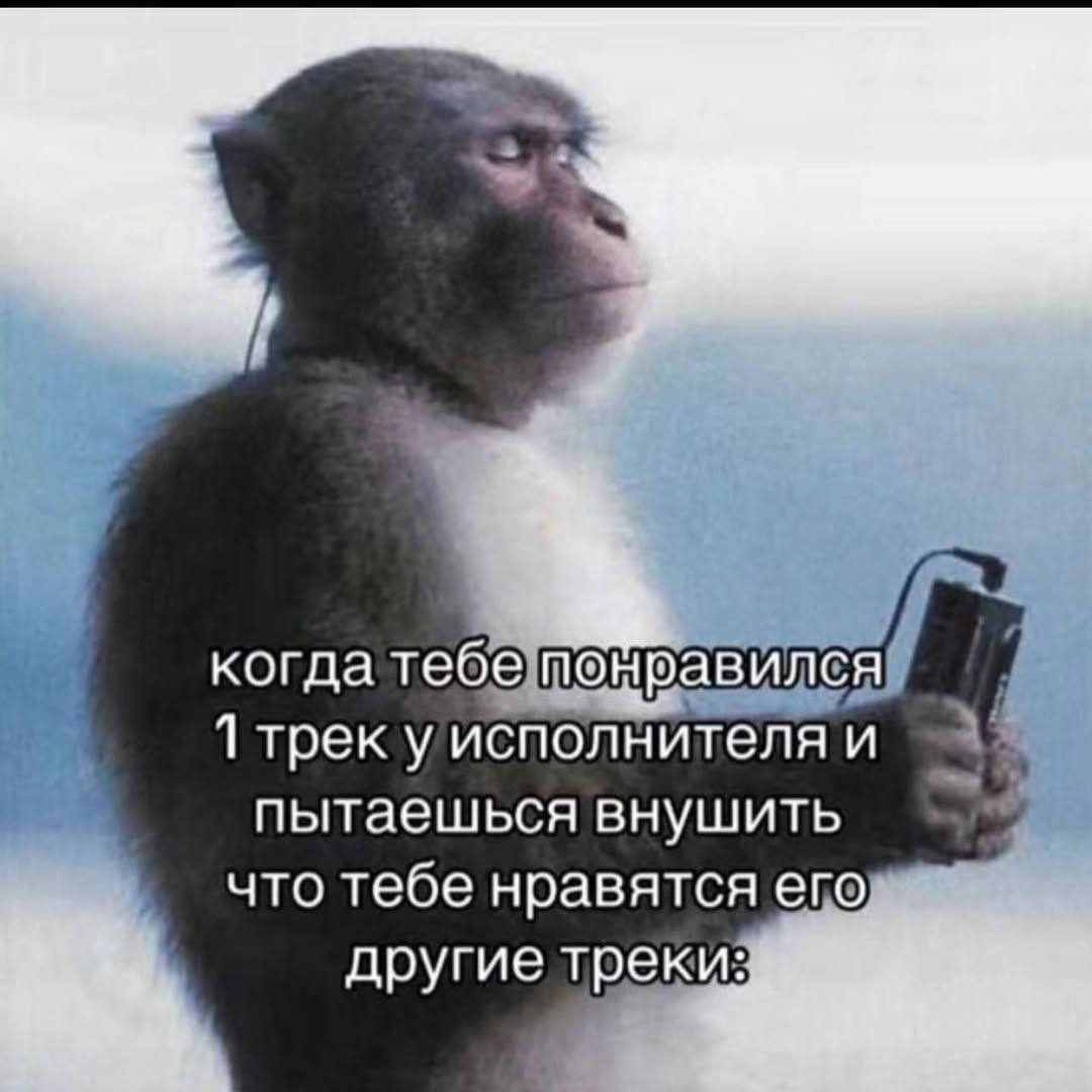 4 уисполнителя и 3 пытаешься внушить что тебе нравятся его другие треки: