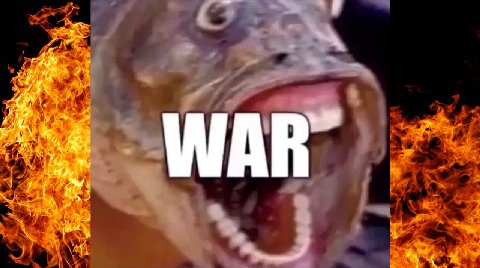 4 7 к WAR