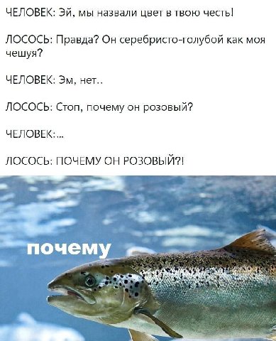 ЧЕЛОВЕК: мы назвали цвет в твою честь! ЛОСОСЬ: Правда? Он серебристо-голубой как моя чешуя? ЧЕЛОВЕК: нет.. ЛОСОСЬ: Стоп, почему он розовый? ЧЕЛОВЕК:... ЛОСОСЬ: ПОЧЕМУ ОН РОЗОВЫЙ?! 7