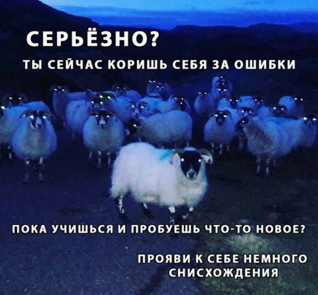СЕРЬЁЗНО? ТЫ СЕЙЧАС КОРИШЬ СЕБЯ ЗА ОШИБКИ ПОКА УЧИШЬСЯ И ПРОБУЕШЬ ЧТО-ТО НОВОЕ? ПРОЯВИ К СЕБЕ НЕМНОГО СНИСХОЖДЕНИЯ