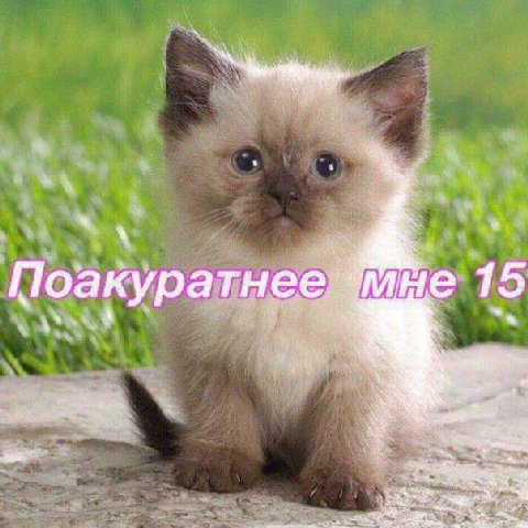 Поакуратнее* 15 оакуратнее Поакуратнее 1. к.