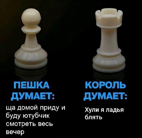 ПЕШКА КОРОЛЬ ДУМАЕТ: ДУМАЕТ: домой приду и Хули я ладья буду ютубчик блять смотреть весь вечер