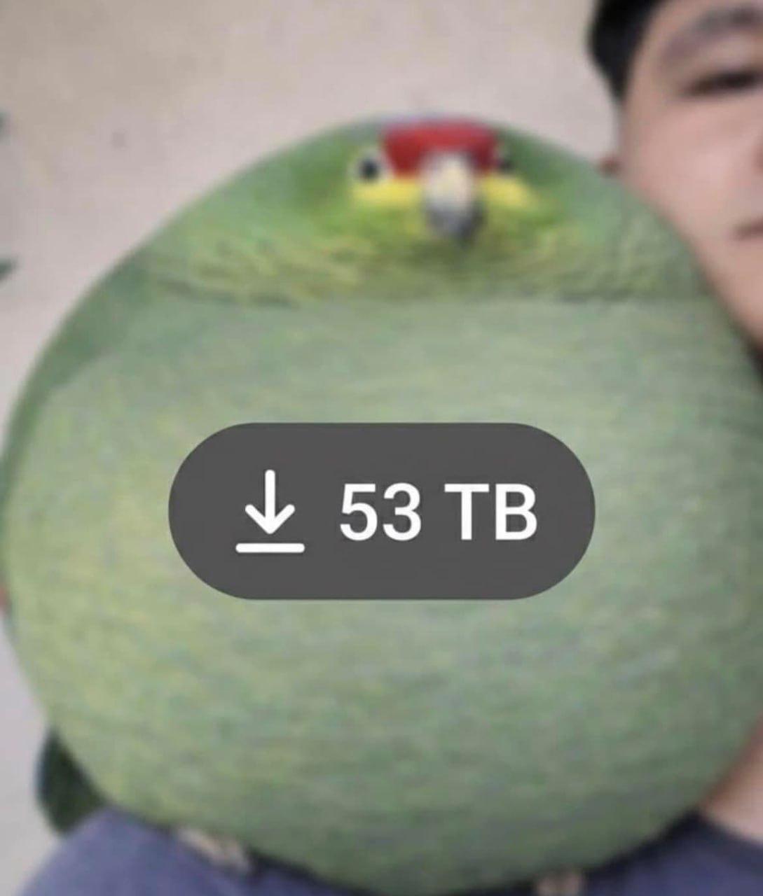 53