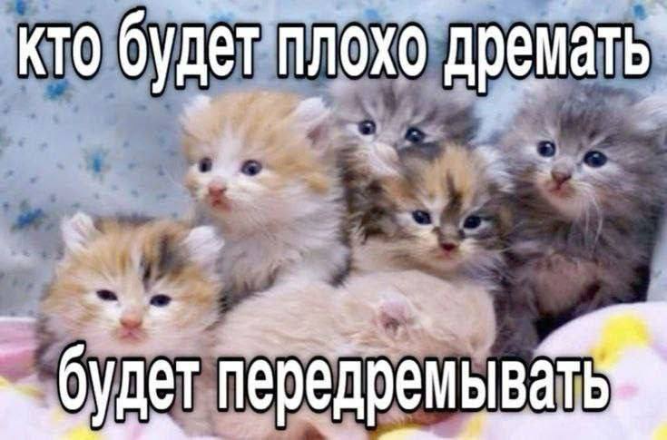 кто будет плохо дремать