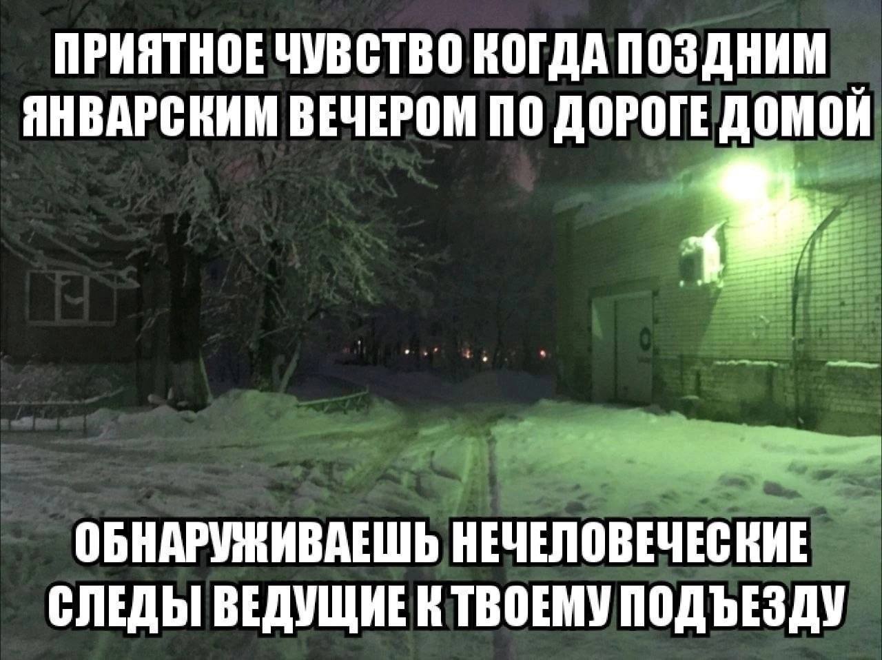ПРИЯТНОЕ ЧУВСТВО КОГДА ПОЗДНИМ ЯНВАРСКИМ ВЕЧЕРОМ ПО ДОРОГЕ ДОМОН ОБНАРУЖИВАЕШЬ НЕЧЕЛОВЕЧЕСКИЕ СЛЕДЫ ВЕДУЩИЕ К ТВОЕМУ ПОДЪЕЗДУ