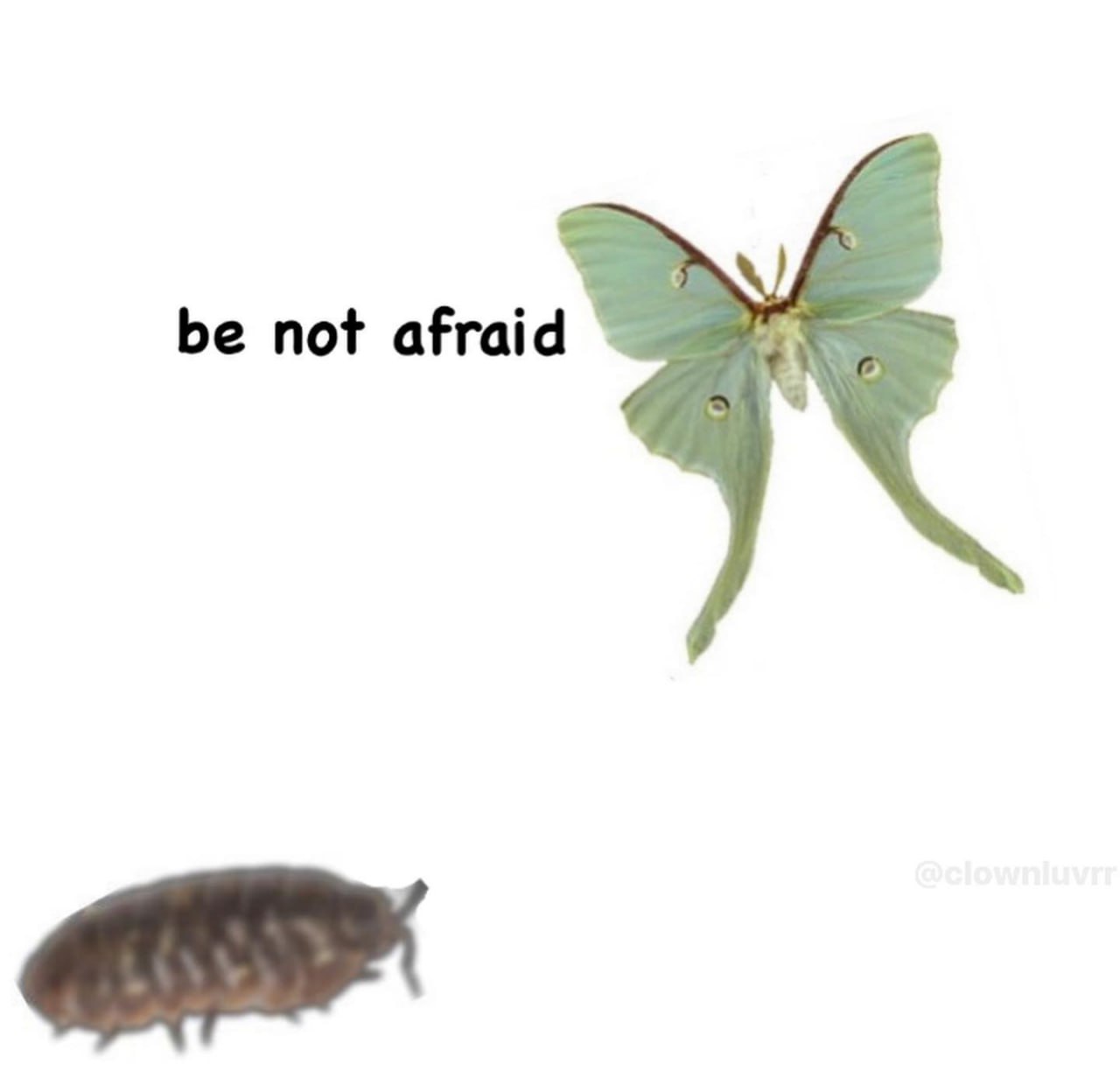 be not afraid