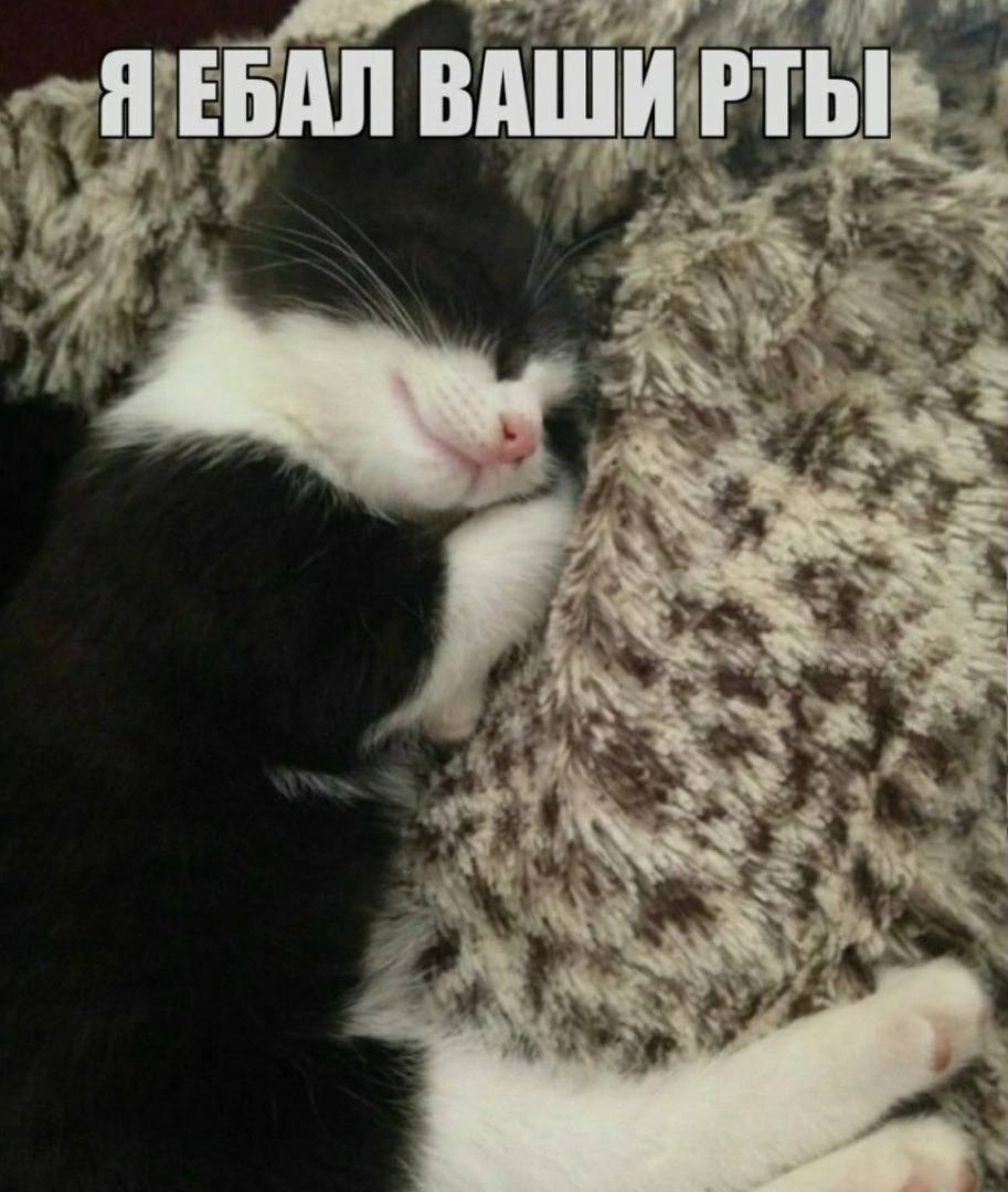 Я ЕБАЛ ВАШИ