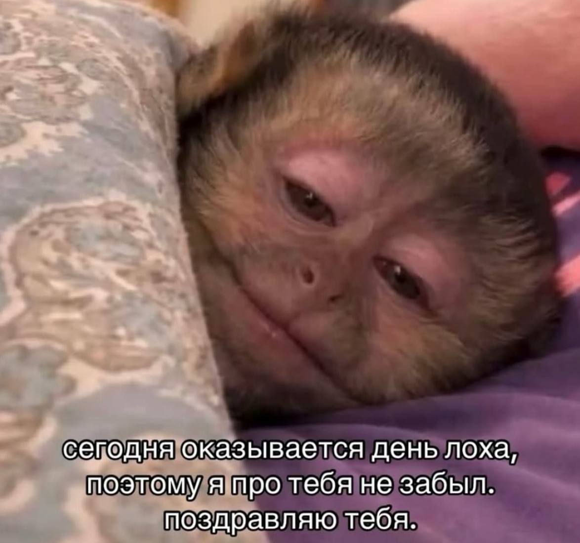 сегодня оказывается день лоха, поэтому я про тебя не забыл. поздравляю тебя.