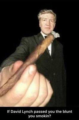 И David Lynch passed you the blunt you smokin?