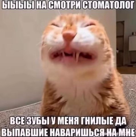 ЫБЫЫ НА СМОТРИ СТОМАТОЛОГ ВСЕЗУБЫ У МЕНЯ ГНИЛЫЕ ДА ВЫПАВШИЕ НАВАРИШЬСЯ НА МНЕ