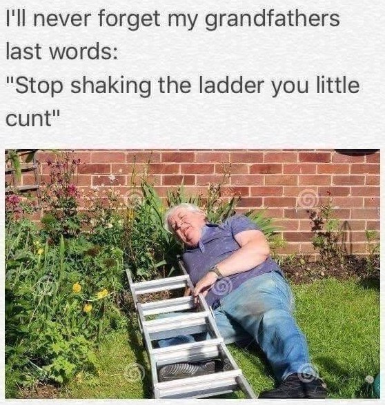I'll never forget my grandfathers last words: "Stop shaking the ladder you little cunt" 2