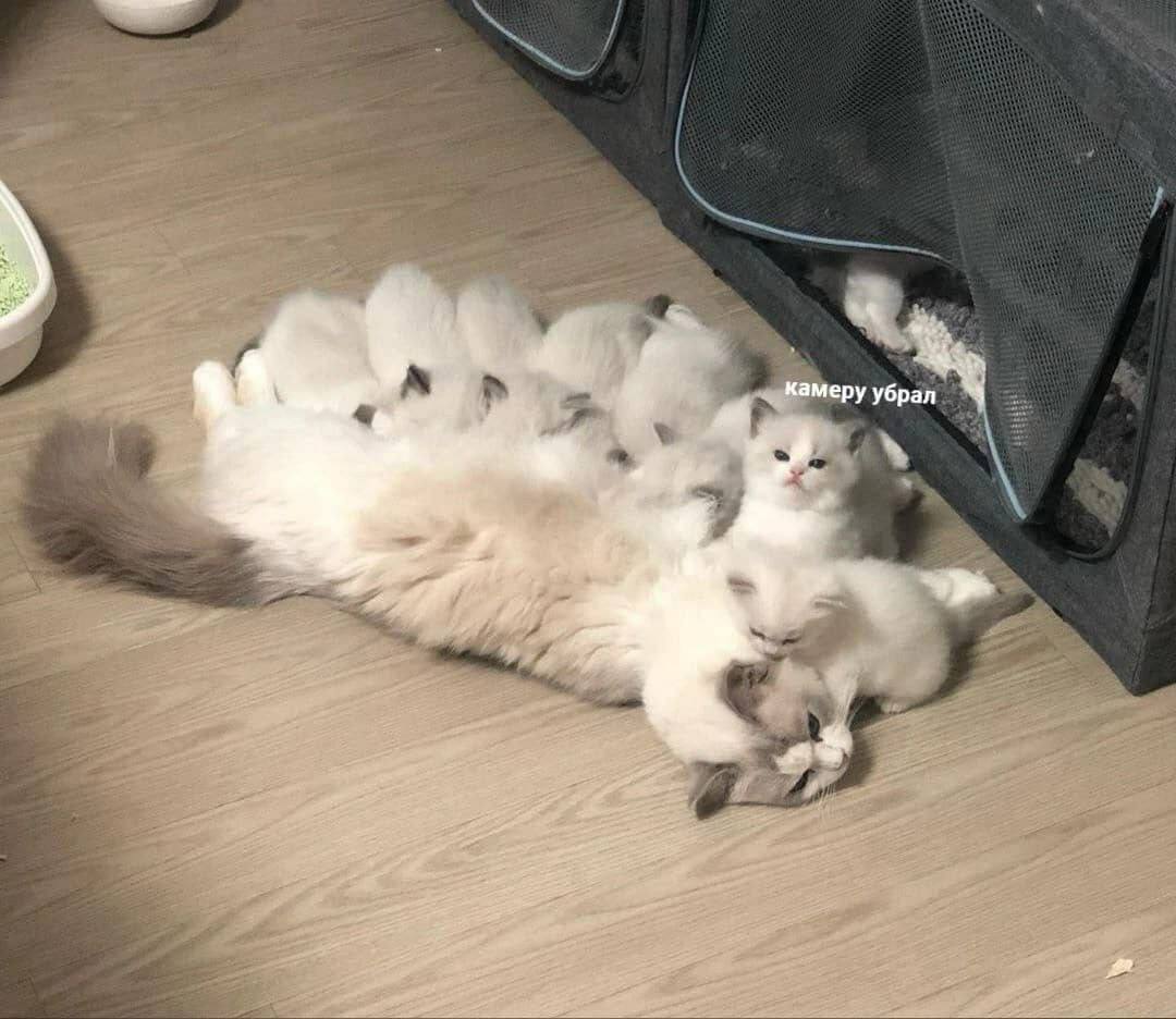 камеру убрал