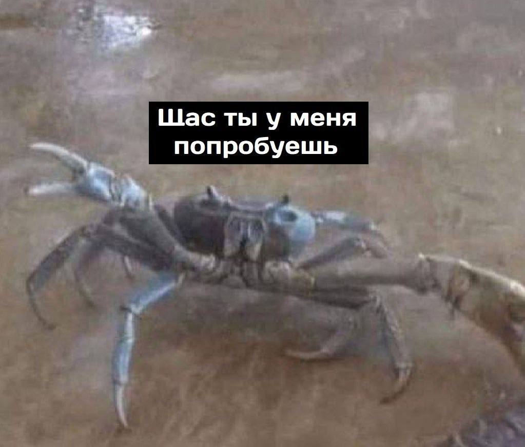 Щас ты у меня попробуешь