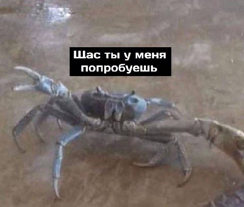 Щас ты у меня попробуешь