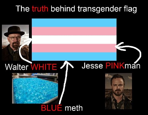Тре behind transgender flag Walter Jesse man meth