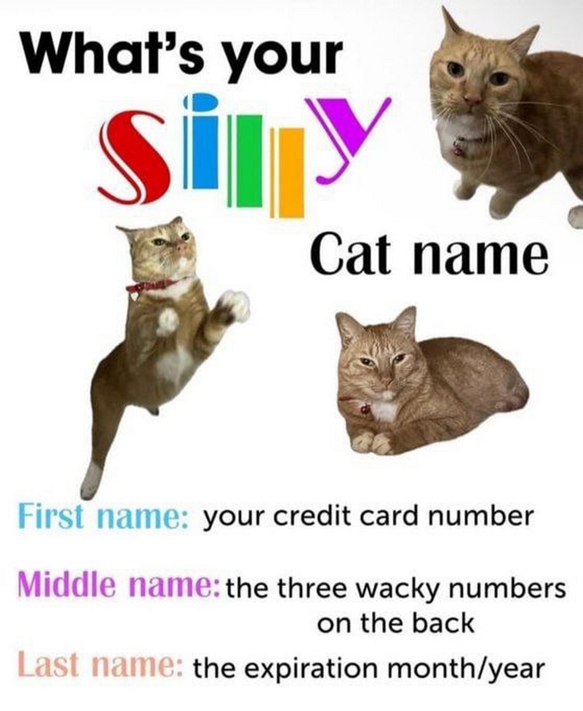 your У Cat name First your credit card number Viddle three wacky numbers on the back the expiration month/year