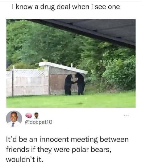know а drug deal when see one “У It'd be an innocent meeting between friends if they were polar bears, it.