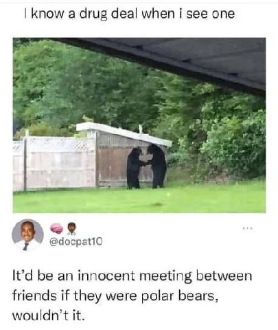 know а drug deal when see one “У It'd be an innocent meeting between friends if they were polar bears, it.
