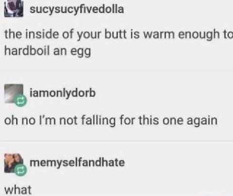 sucysucyfivedolla the inside of your butt is warm enough to hardboil an egg iamonlydorb no not falling for this one again memyselfandhate what