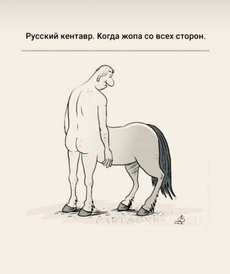 Русский кентавр. Когда жопа всех сторон