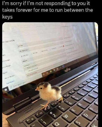 sorry if not responding to you it takes forever for me to run between the keys a