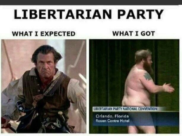 LIBERTARIAN PARTY WHAT I EXPECTED WHAT I GOT 7 LIBERTARIAN PARTY МАПОНАГ Orlando, Florida Rosen Centre Hotel