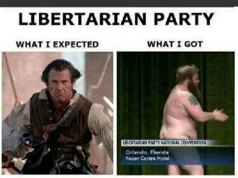 LIBERTARIAN PARTY WHAT I EXPECTED WHAT I GOT 7 LIBERTARIAN PARTY МАПОНАГ Orlando, Florida Rosen Centre Hotel