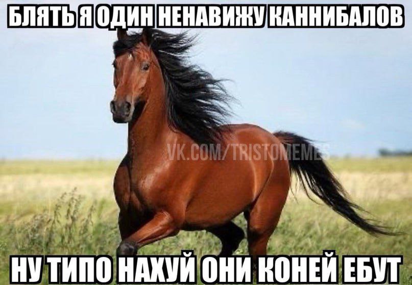 КАННИБАЛОВ a A, 2 4 2 4 5 «2. 2 ОНИ КОНЕИЕБУТ