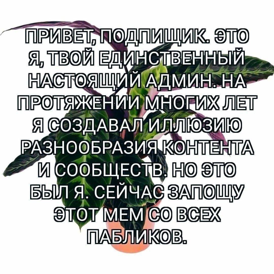 Age ЛЕТ Я РАЗНООБРАЗИЯ СООБЩЕСТВ, НО Я. СЕЙЧАС