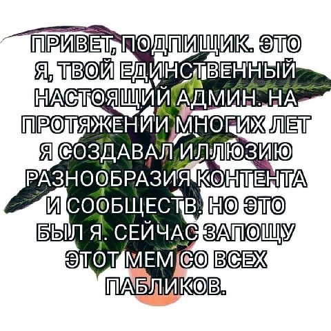 Age ЛЕТ Я РАЗНООБРАЗИЯ СООБЩЕСТВ, НО Я. СЕЙЧАС