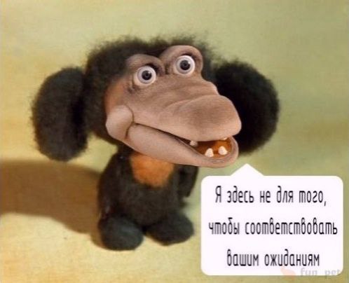 Я здесь не бля 1020, чобы